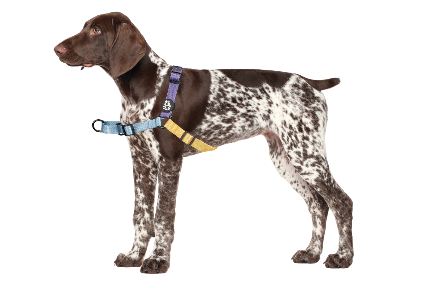 Pettorina Anti-tiro Regolabile Easy Walk
