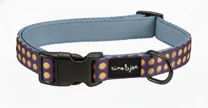 Collare Regolabile Chiusura Rapida a Clip