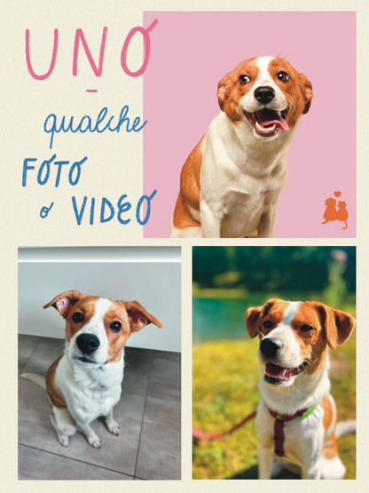 Illustrazione personalizzata del tuo cane – by Elisa Delledonne @signorina_tu_mi_stufi