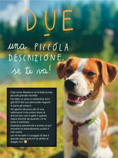 Illustrazione personalizzata del tuo cane – by Elisa Delledonne @signorina_tu_mi_stufi