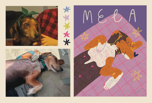 Illustrazione personalizzata del tuo cane – by Elisa Delledonne @signorina_tu_mi_stufi