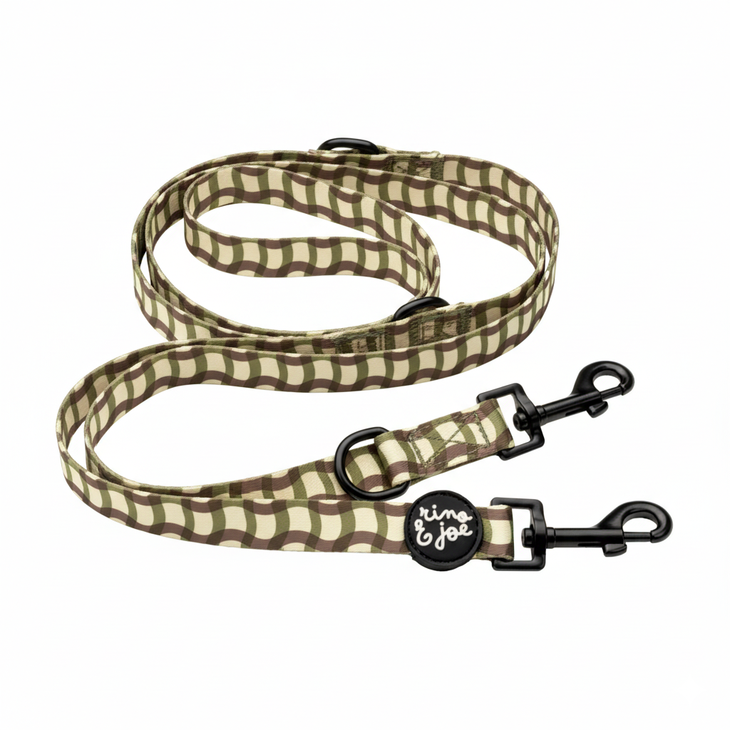 Guinzaglio Multiposizione, 2 Metri