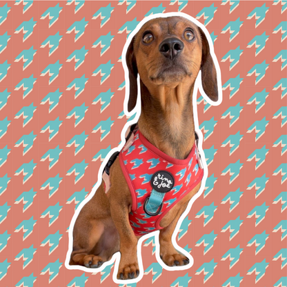 Pettorina Neoprene Super Regolabile